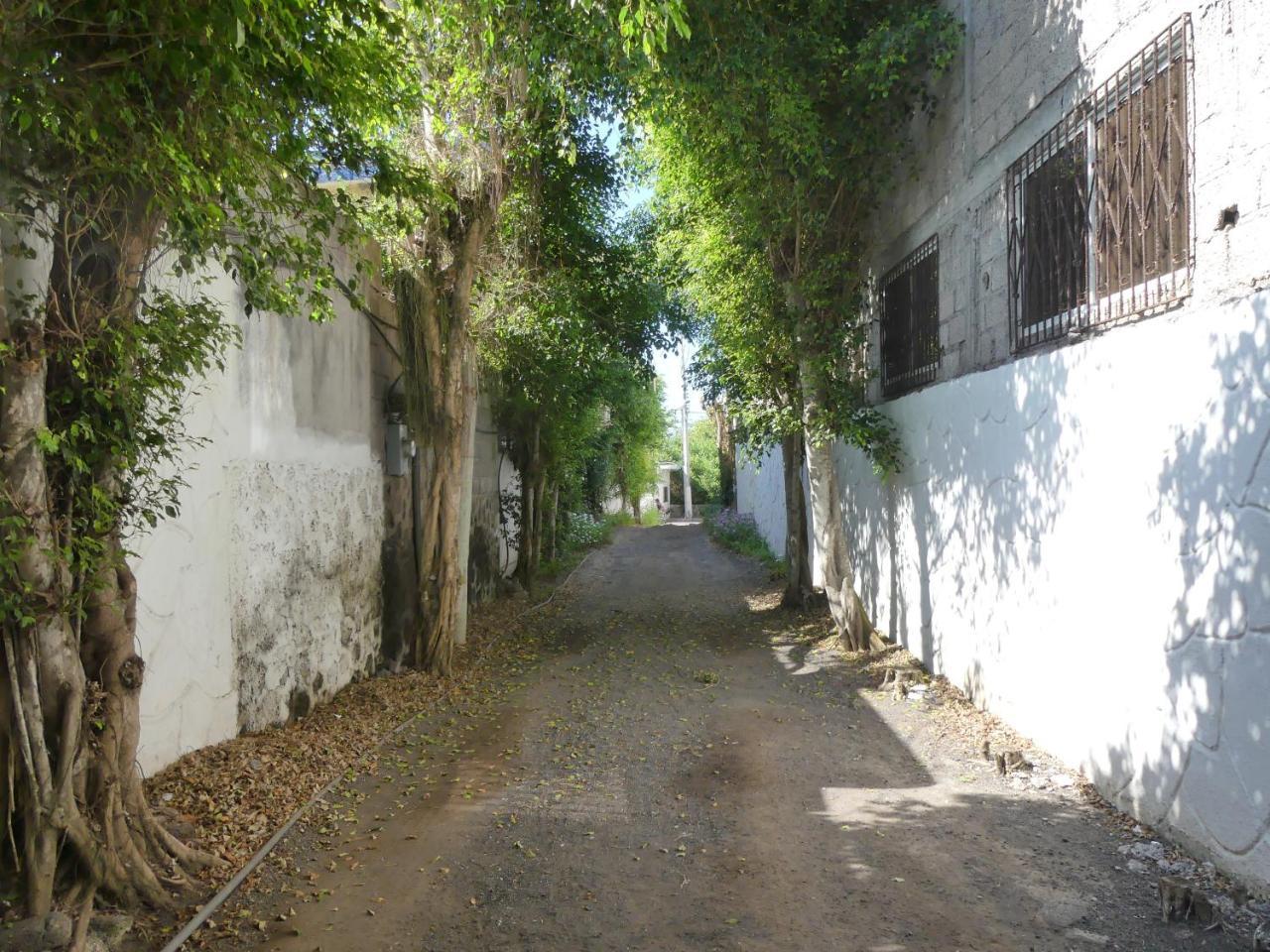 Hostal Estrella de Mar Puerto Ayora  Exterior foto